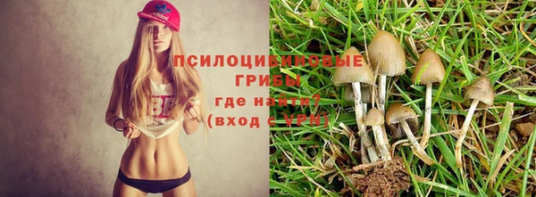 герыч Волоколамск