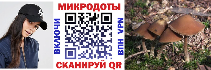 купить наркотик mega зеркало Галлюциногенные грибы прущие грибы Волоколамск